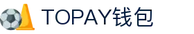 TOPAY钱包 - 安全便捷的个人财务管理工具